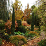 The garden in fall