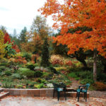 The garden in fall